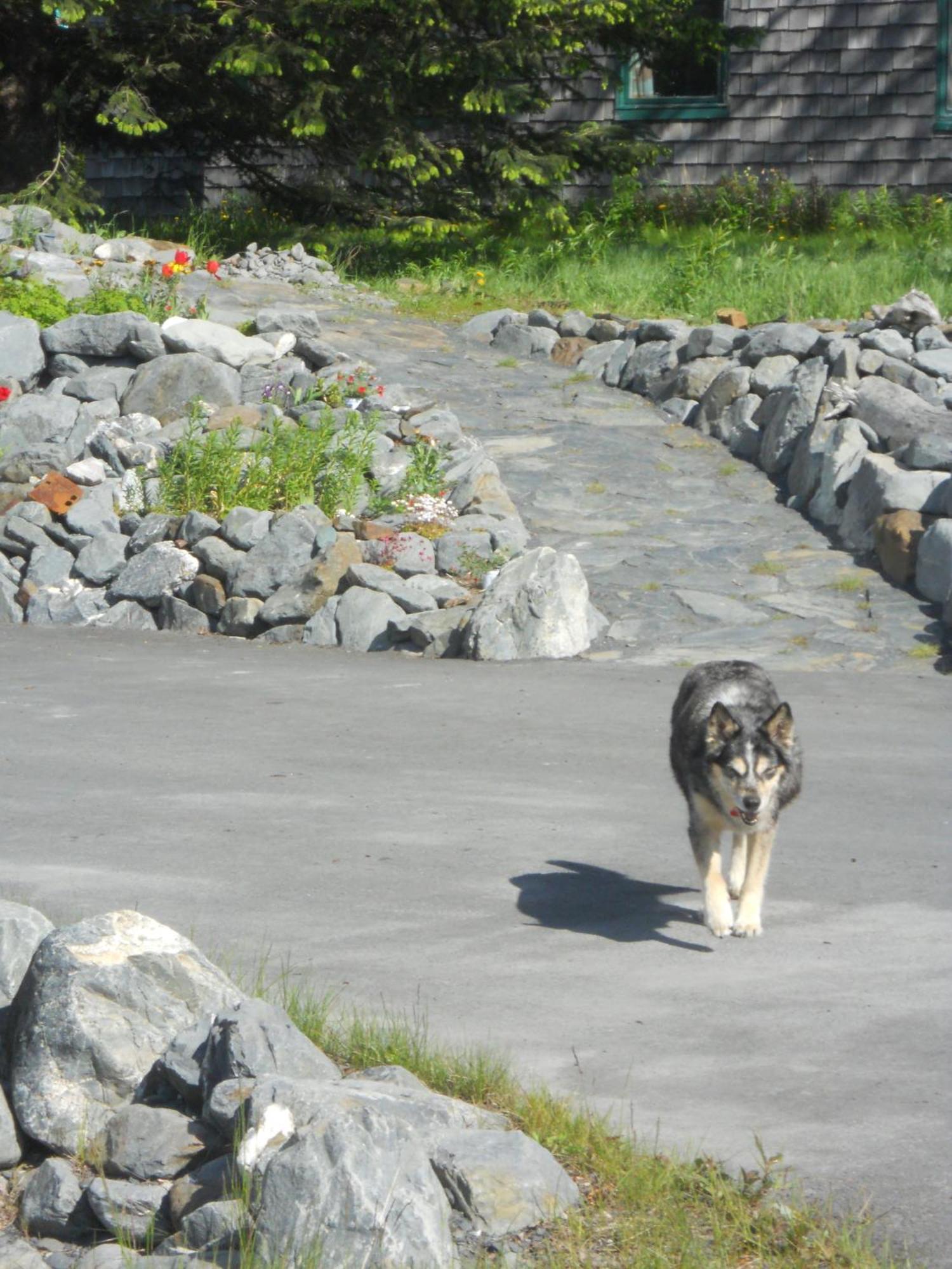 Seward Front Row Bed And Breakfast Екстер'єр фото