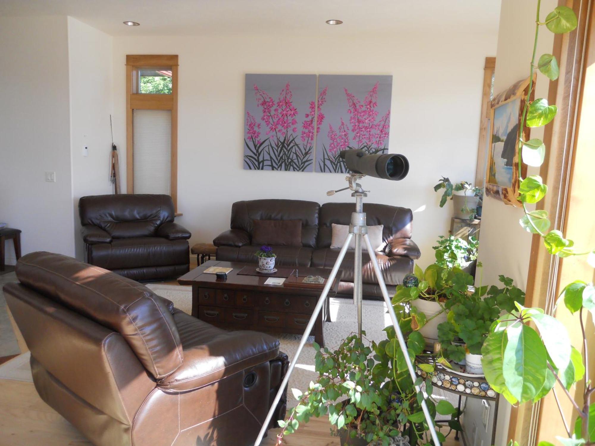 Seward Front Row Bed And Breakfast Екстер'єр фото
