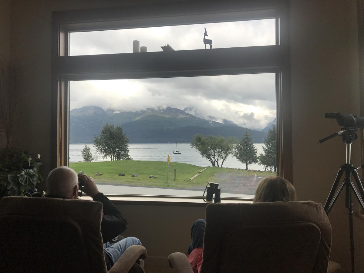 Seward Front Row Bed And Breakfast Екстер'єр фото